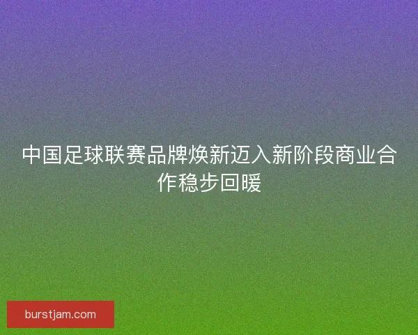 中国足球联赛品牌焕新迈入新阶段商业合作稳步回暖 中国足球联赛品牌焕新迈入新阶段商业合作稳步回暖
